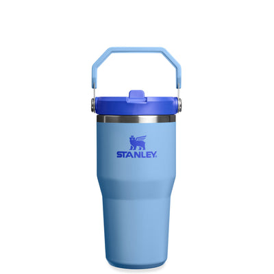 Flip Straw Tumbler 20oz - Blue Sky