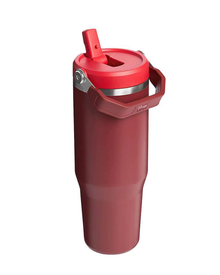 Flip Straw Tumbler - Cranberry