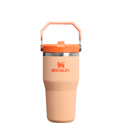 Flip Straw Tumbler 20oz - Orange Sherbet