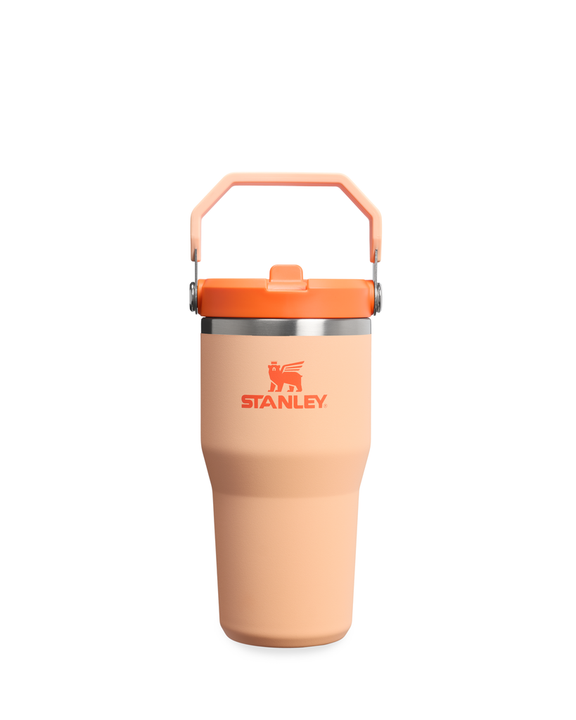 Flip Straw Tumbler 20oz - Orange Sherbet