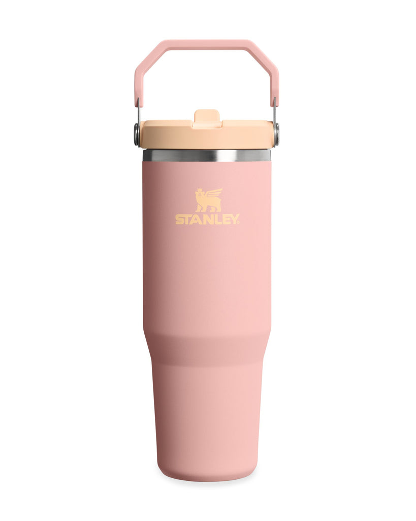 Flip Straw Tumbler - Peach Rose