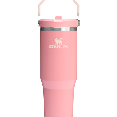 Flip Straw Tumbler - Pink Mesa