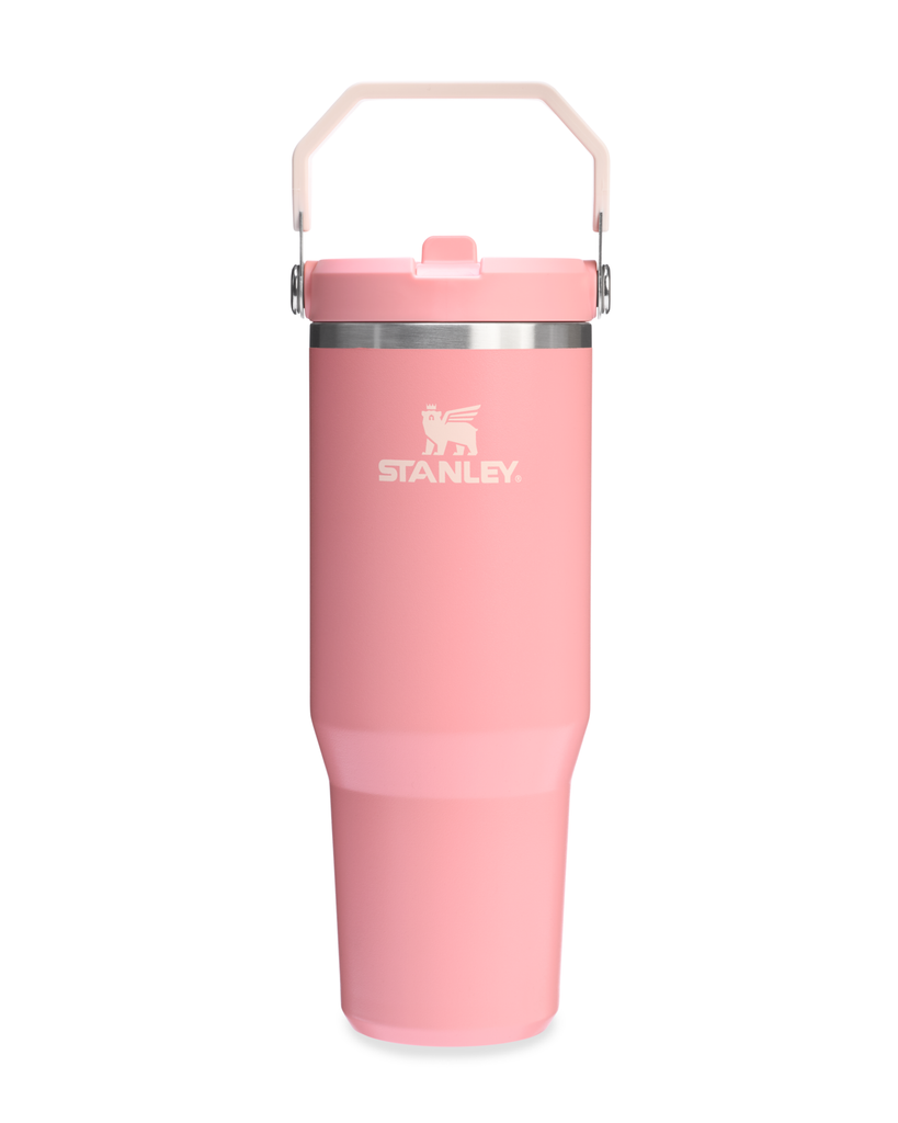 Flip Straw Tumbler - Pink Mesa