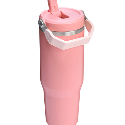 Flip Straw Tumbler - Pink Mesa
