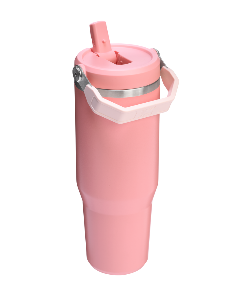 Flip Straw Tumbler - Pink Mesa