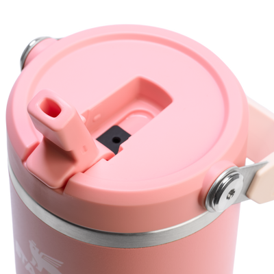 Flip Straw Tumbler - Pink Mesa