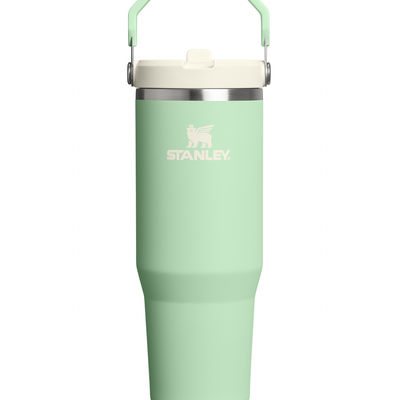 Flip Straw Tumbler - Pistachio