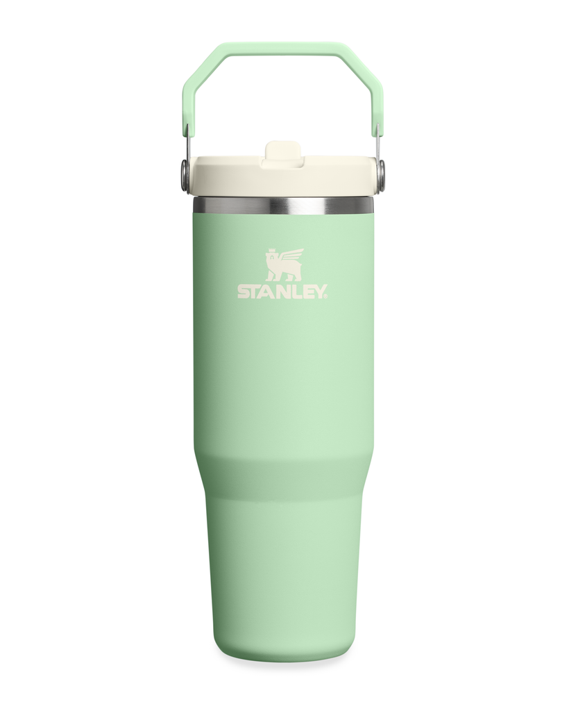 Flip Straw Tumbler - Pistachio