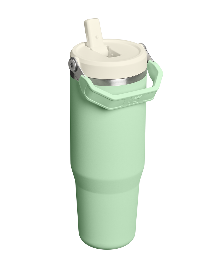 Flip Straw Tumbler - Pistachio