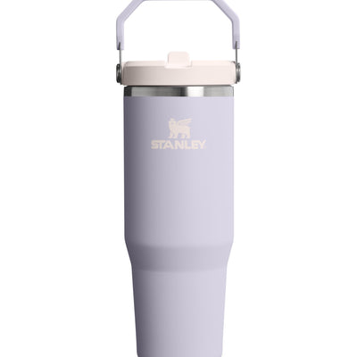 Flip Straw Tumbler - Purple Dust