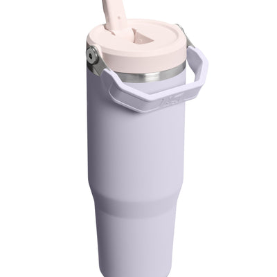 Flip Straw Tumbler - Purple Dust