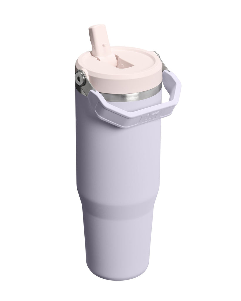 Flip Straw Tumbler - Purple Dust