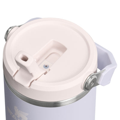 Flip Straw Tumbler - Purple Dust