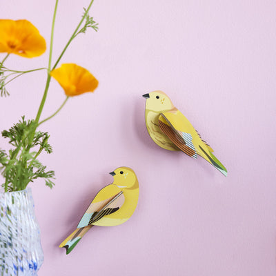 Citrinella Pair Wall Art