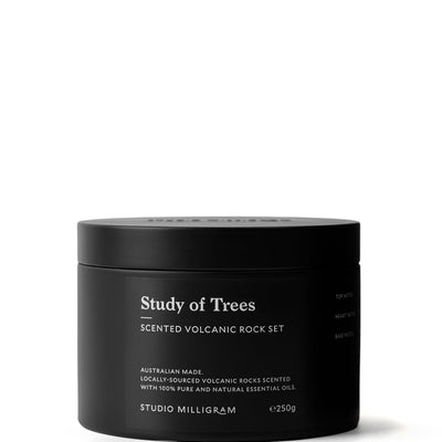 Scented Volcanic Rocks - Study of Trees