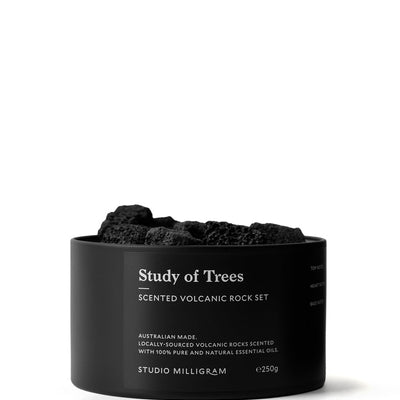 Scented Volcanic Rocks - Study of Trees