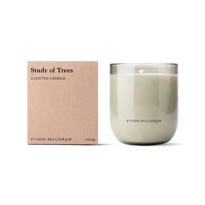 Study of Trees Candle