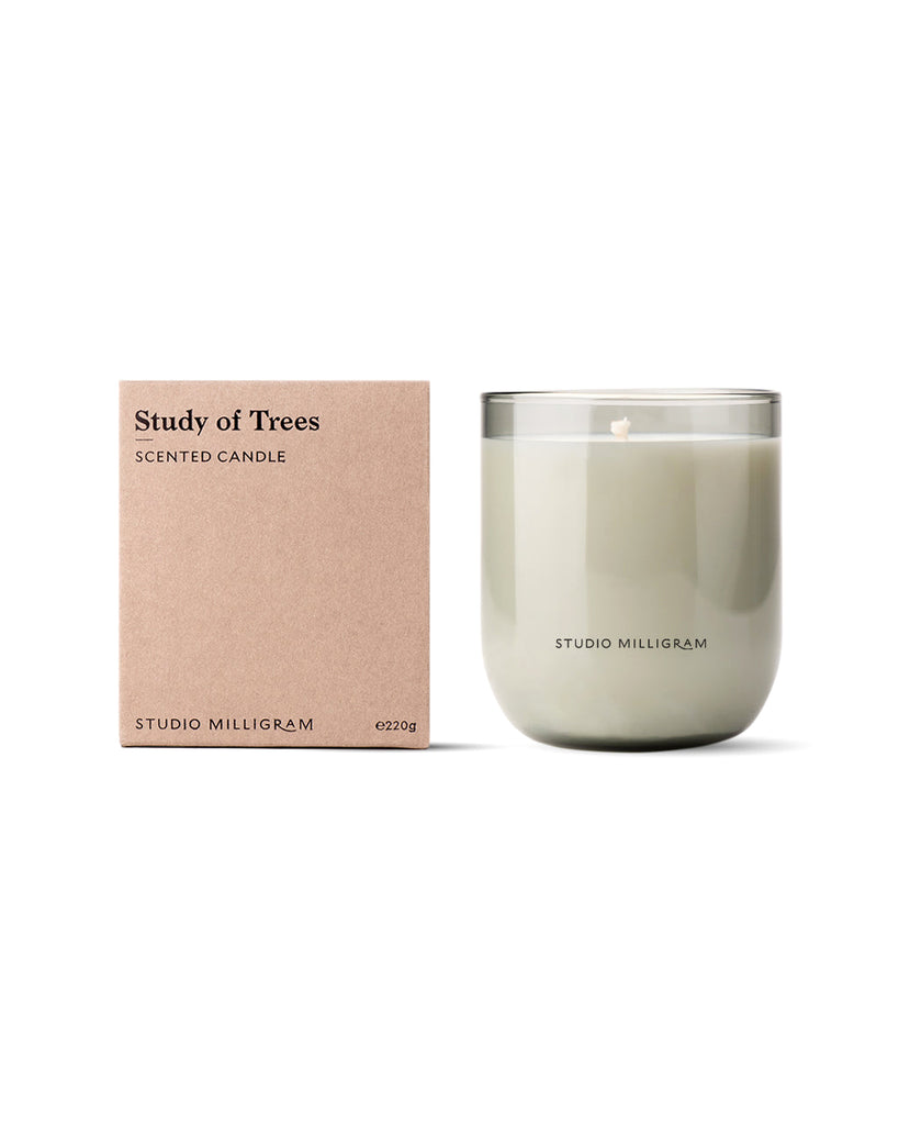 Study of Trees Candle