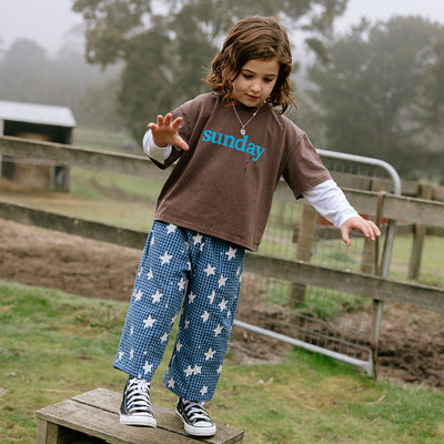 Dusty Star Pant - Blue Gingham