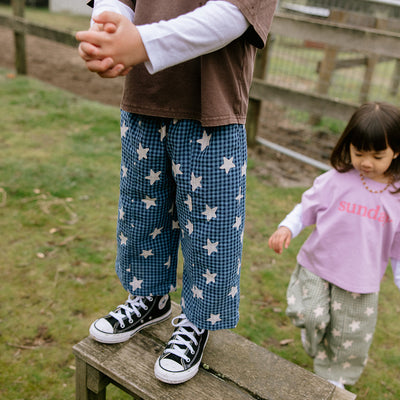 Dusty Star Pant - Blue Gingham