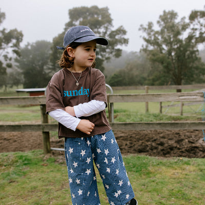 Dusty Star Pant - Blue Gingham
