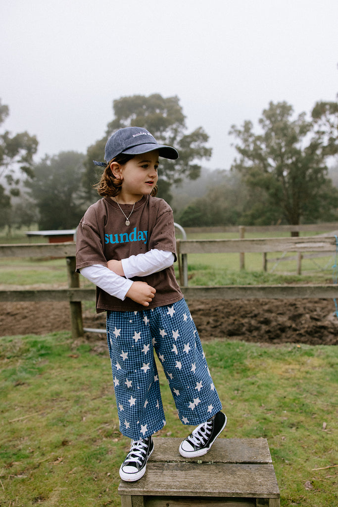 Dusty Star Pant - Blue Gingham