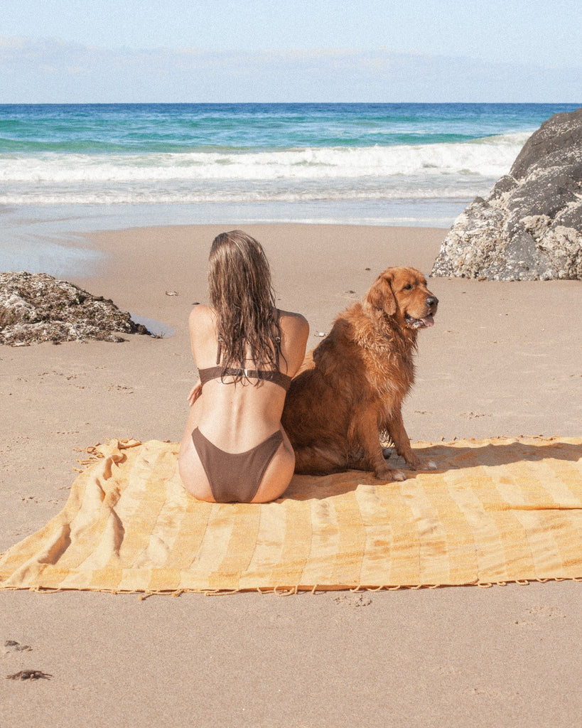 Golden Beach Blanket