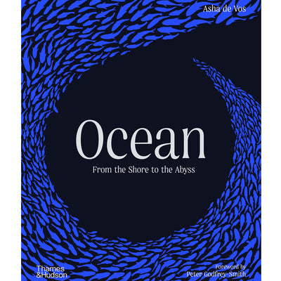 Ocean: From the Shore to the Abyss