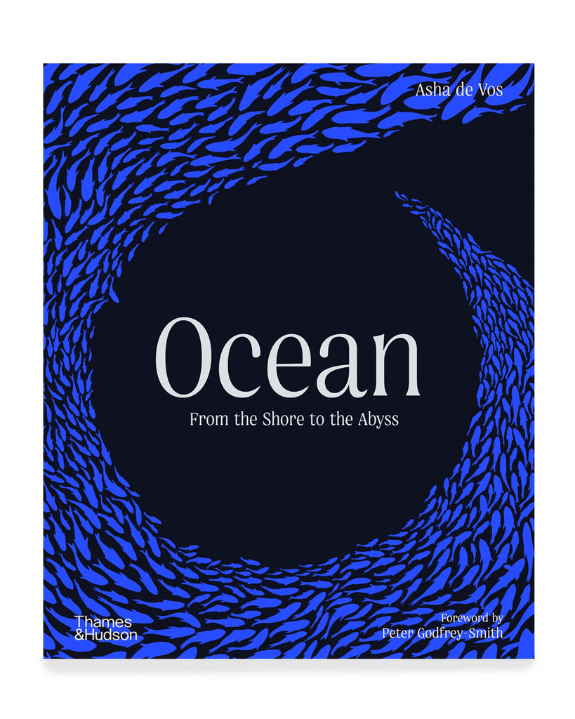 Ocean: From the Shore to the Abyss