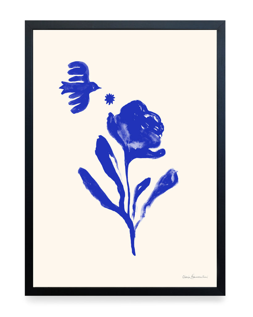 Print - Newborn Rose