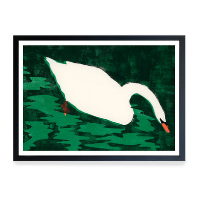 Print - Cisne Blanco