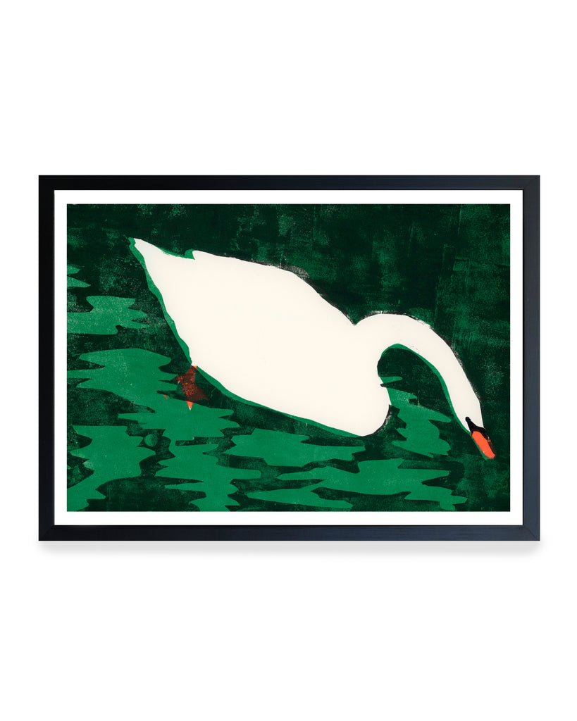 Print - Cisne Blanco