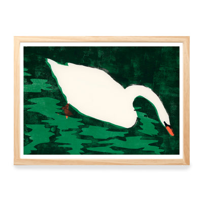 Print - Cisne Blanco