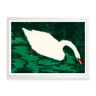 Print - Cisne Blanco