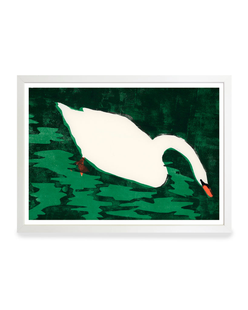 Print - Cisne Blanco