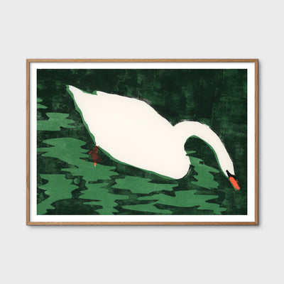 Print - Cisne Blanco