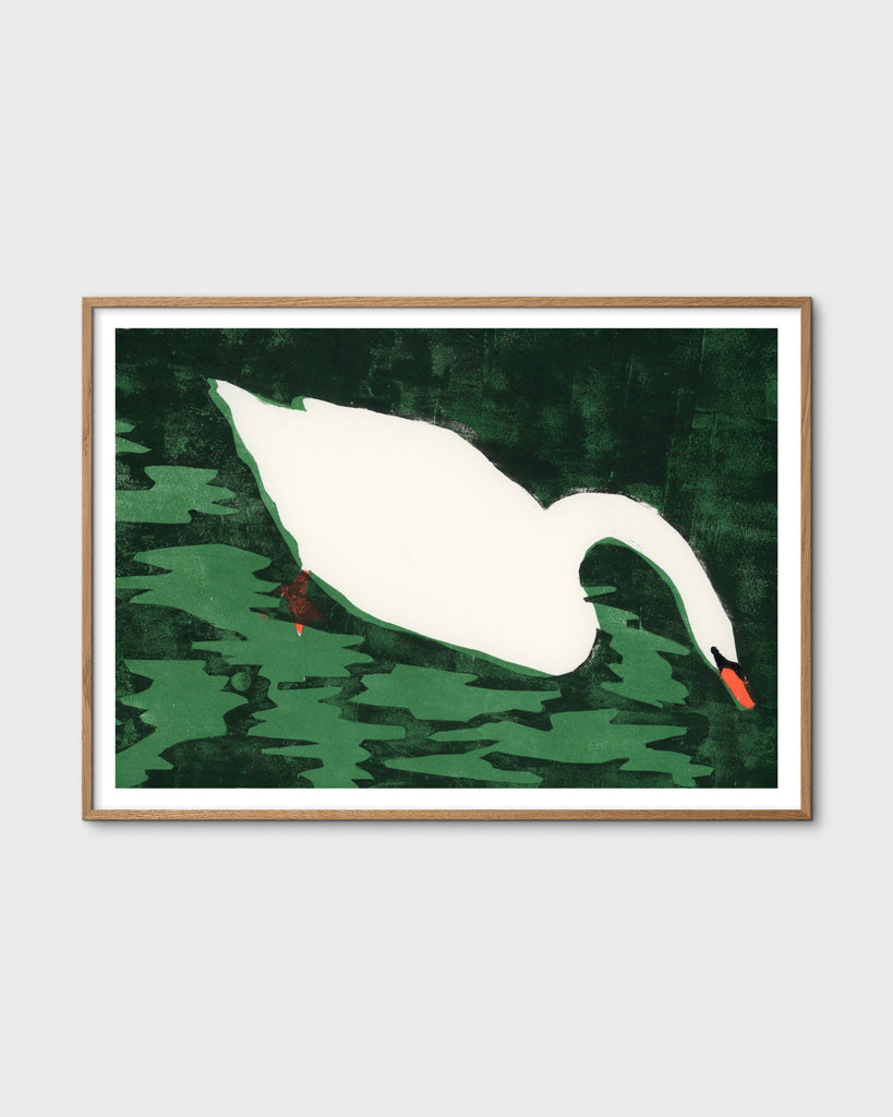 Print - Cisne Blanco