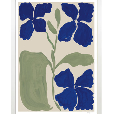 Print - Flowers