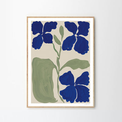 Print - Flowers