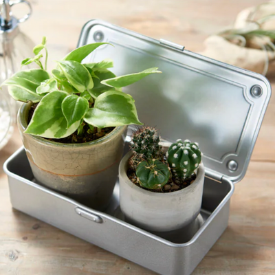 Mini Toolbox - Silver