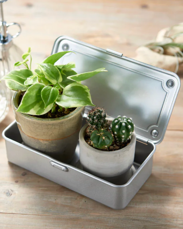 Mini Toolbox - Silver