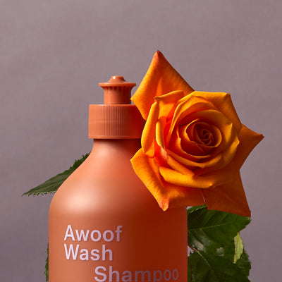 Ashley & Co - Awoof Wash Dog Shampoo