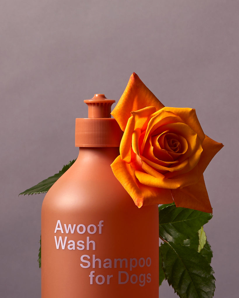 Ashley & Co - Awoof Wash Dog Shampoo
