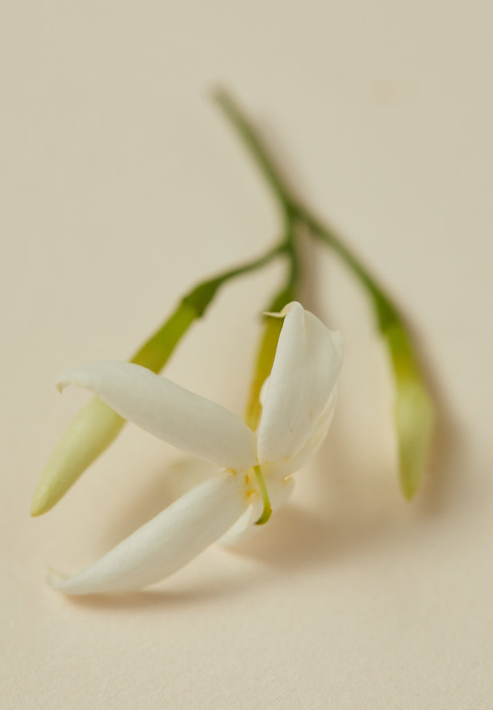 Natural Perfume Oil - Souq