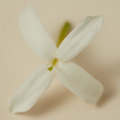 Natural Perfume Oil - Souq