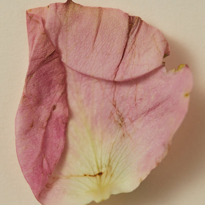 Natural Perfume Oil - Souq