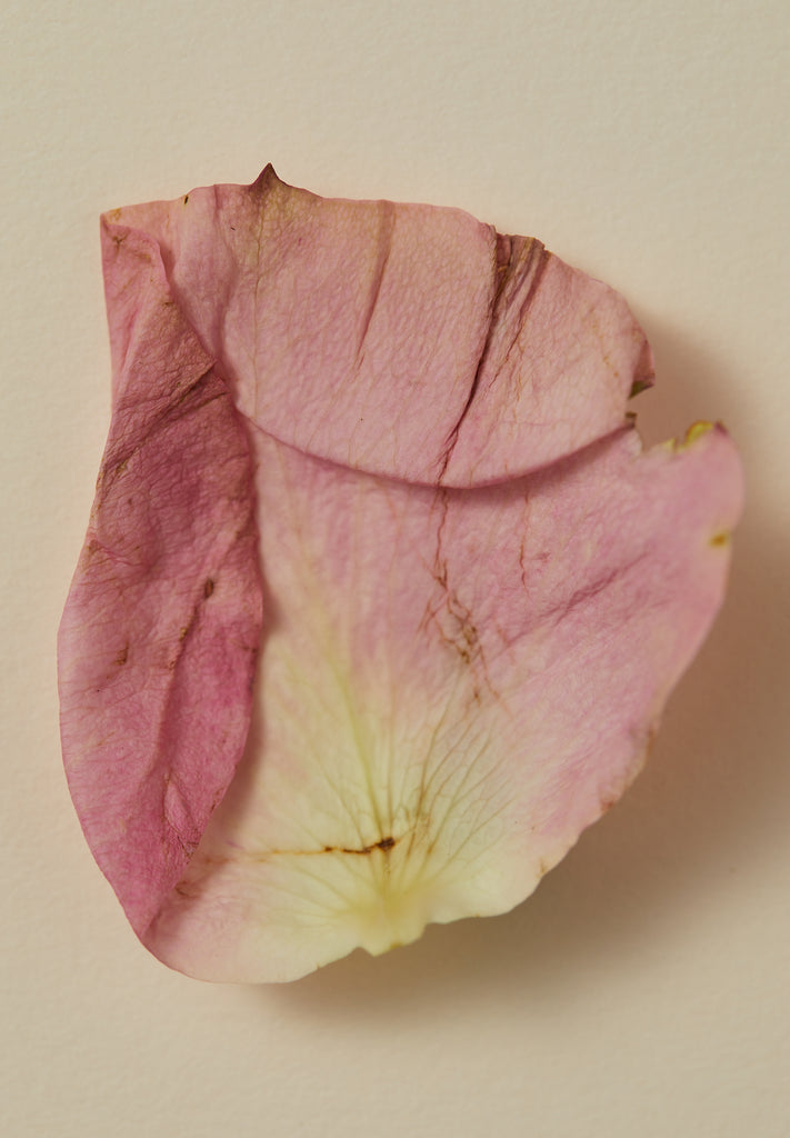 Natural Perfume Oil - Souq